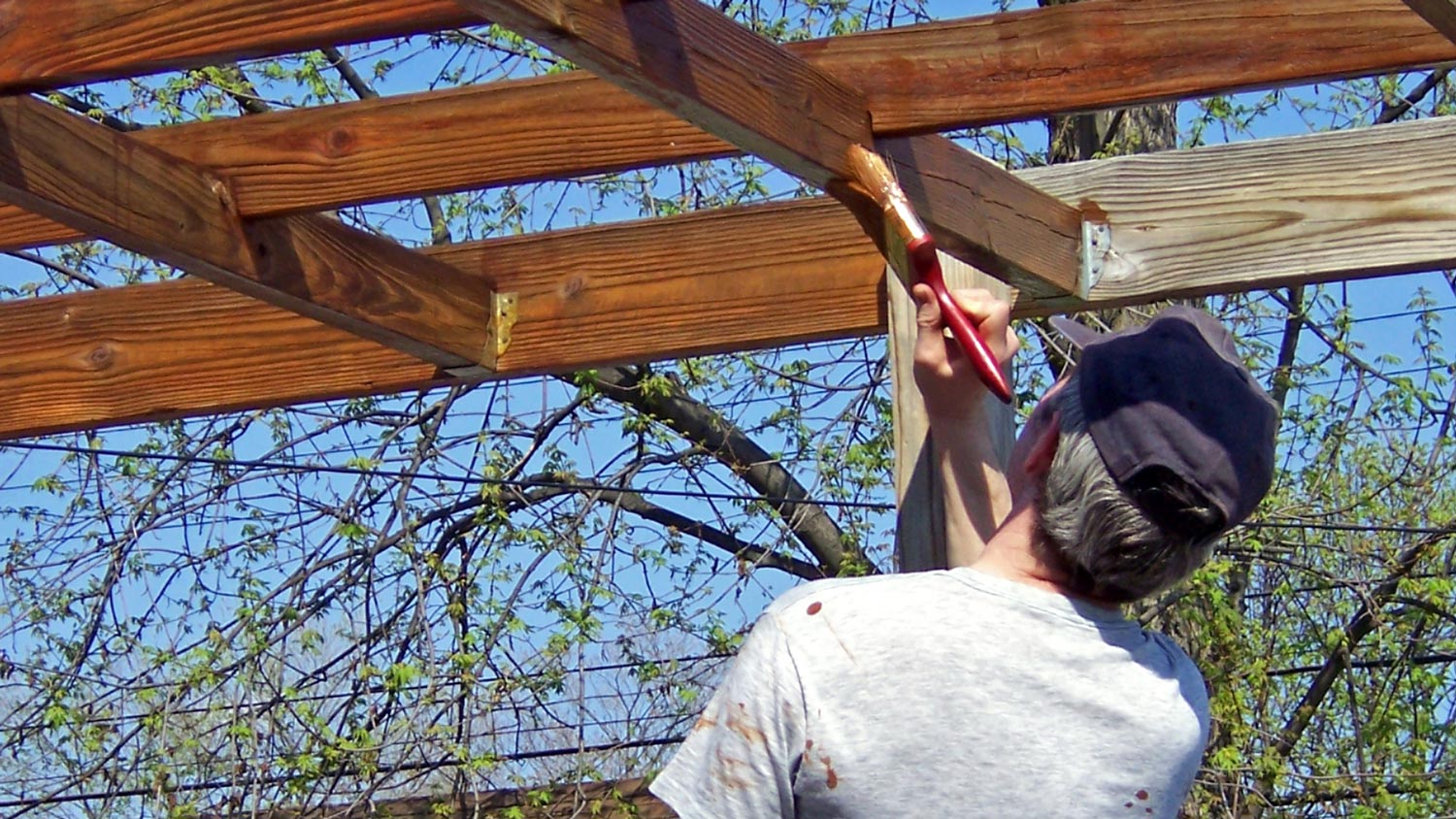 A man staining a pergola with a brush