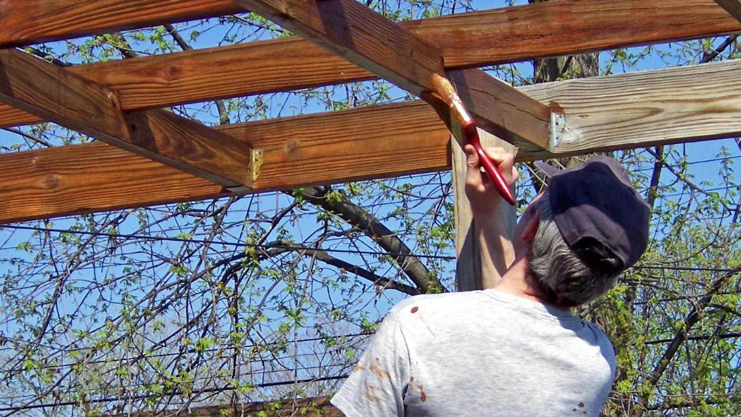  A man staining a pergola with a brush