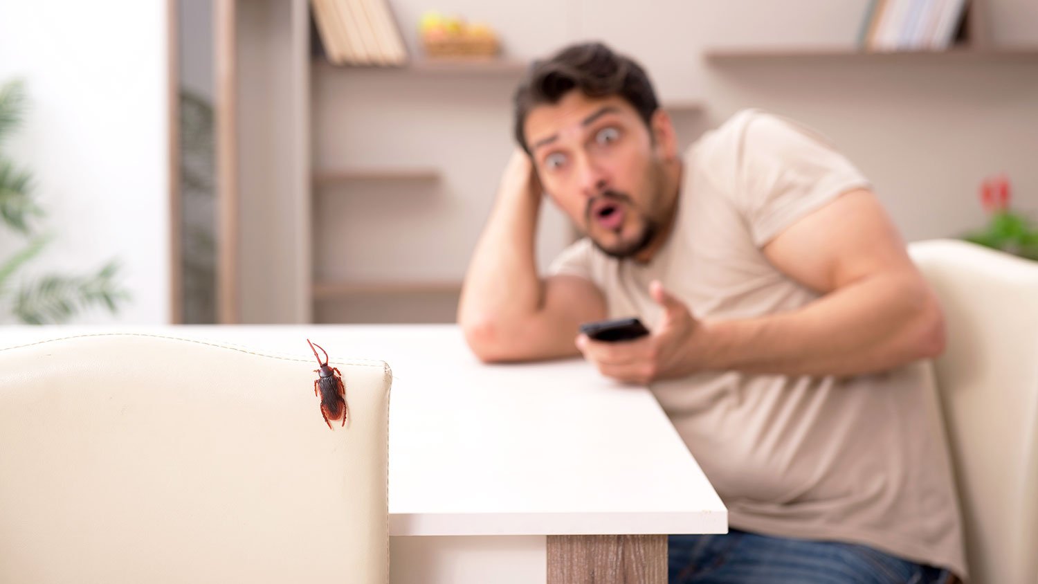 Man startled by cockroach perched on a chair