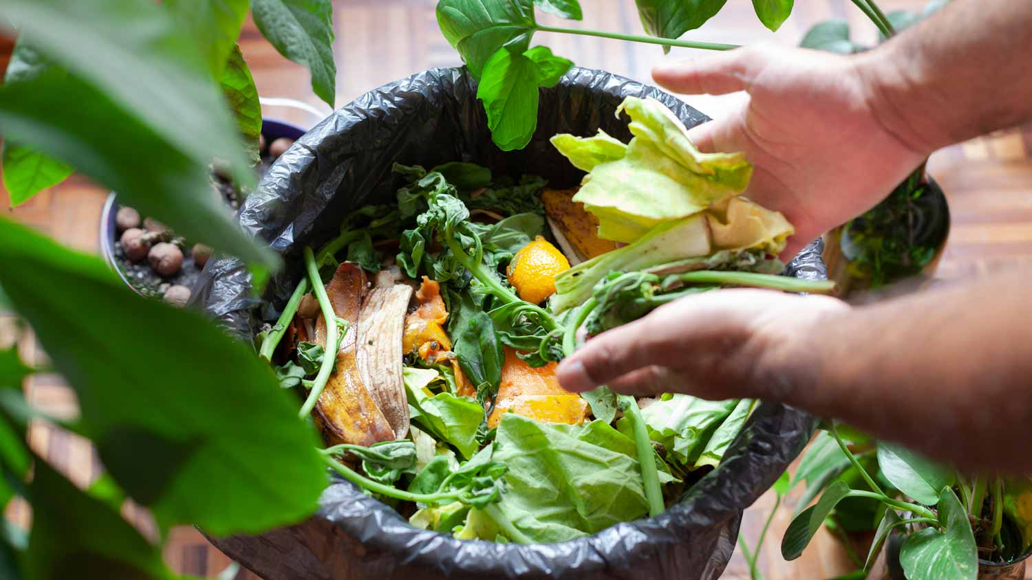 A man throwing leftovers in a compost bin 