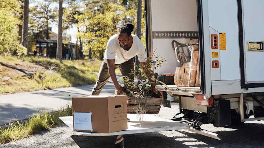 Mature man unloading plant crate from van during sunny day