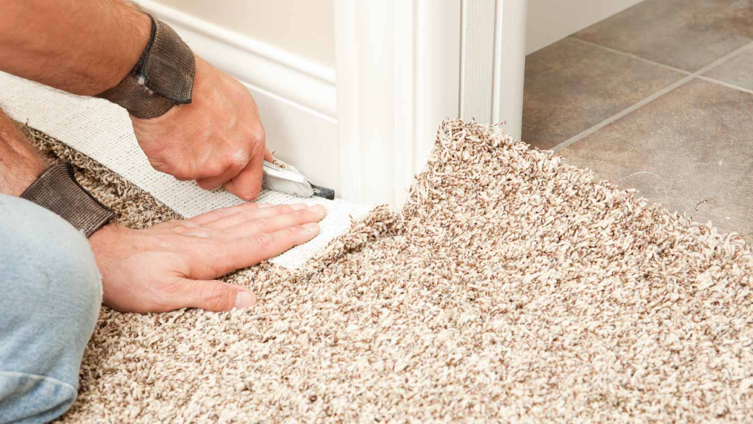 How To Revive Carpets and Rugs