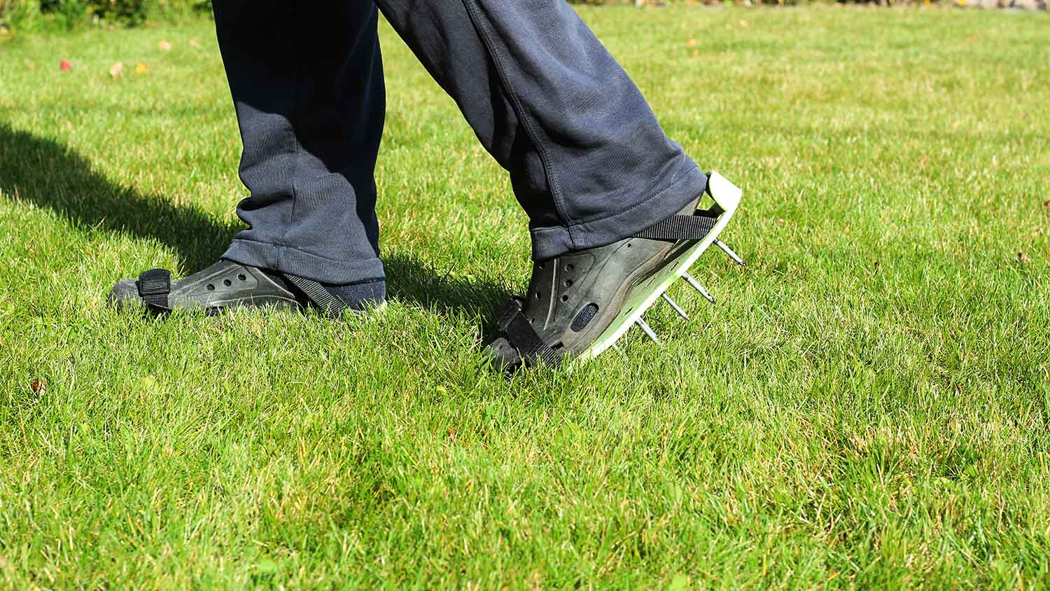 Man using lawn aerator shoes