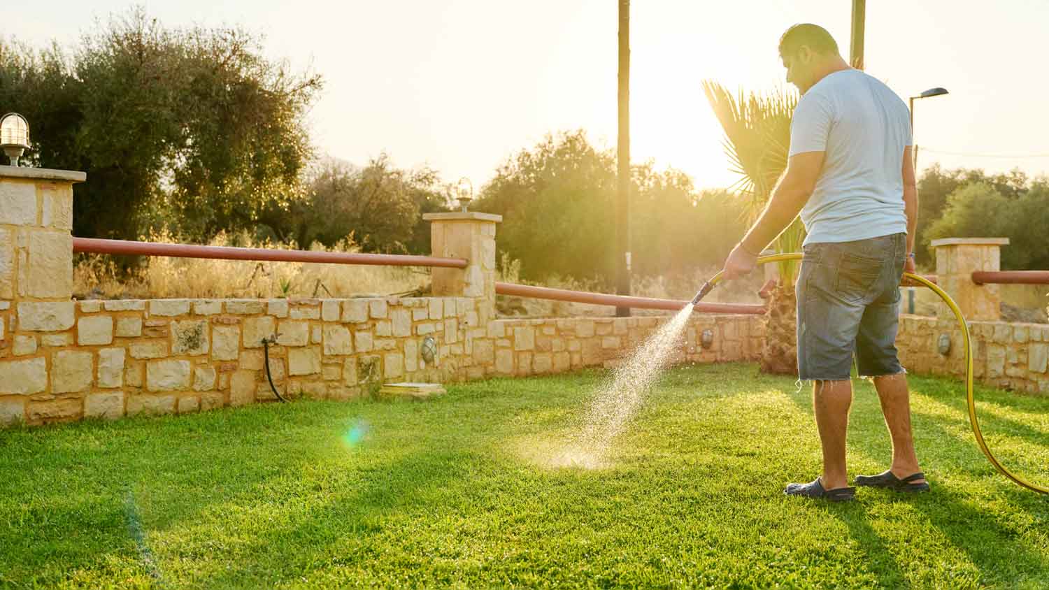 man watering lawn with hose