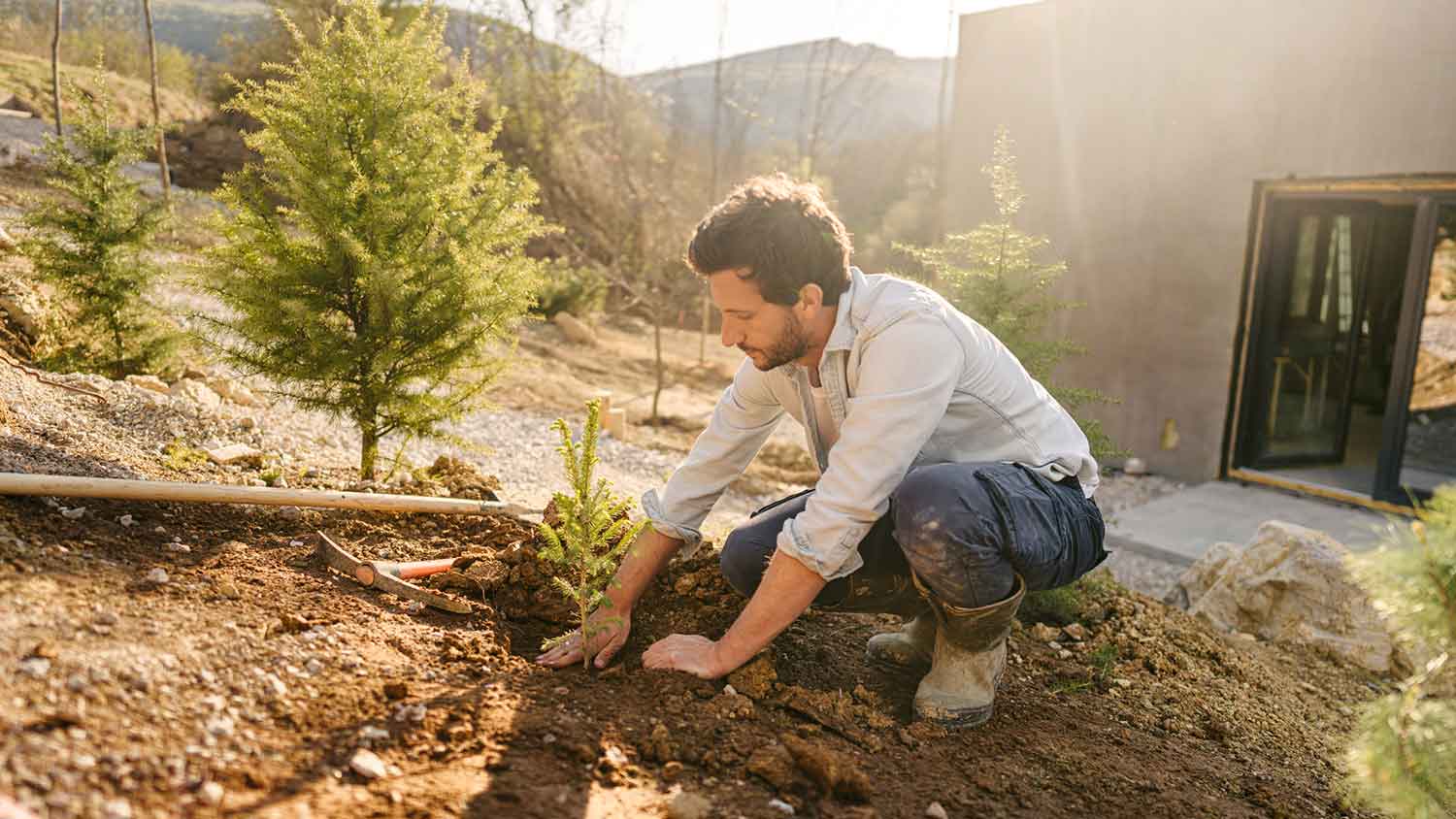 Man planting a tree in the yard 