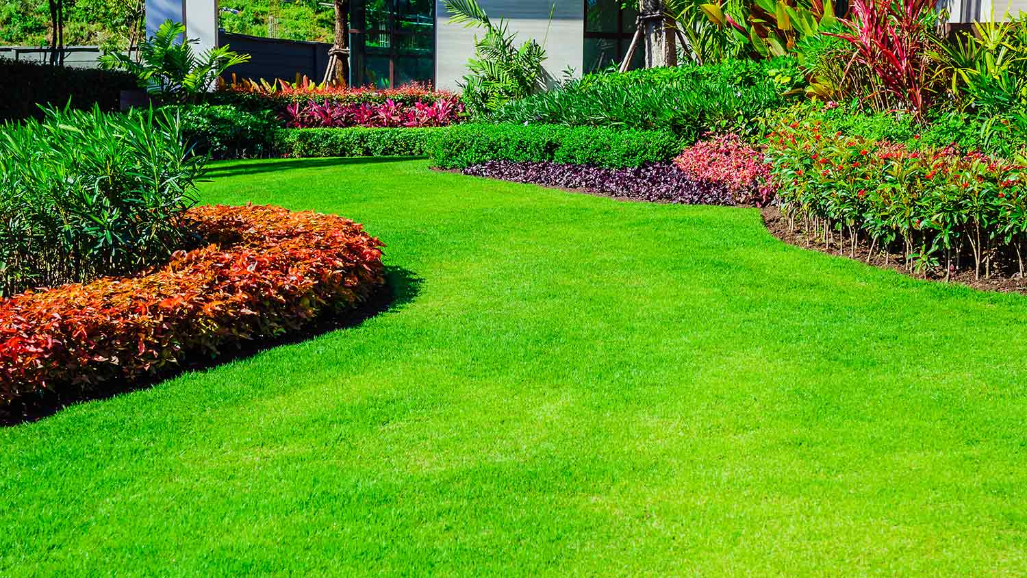 Nicely manicured lawn