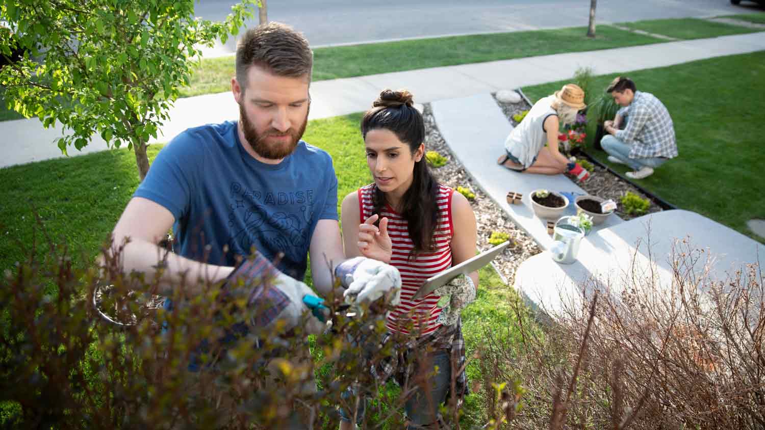 couple mapping out front garden ideas