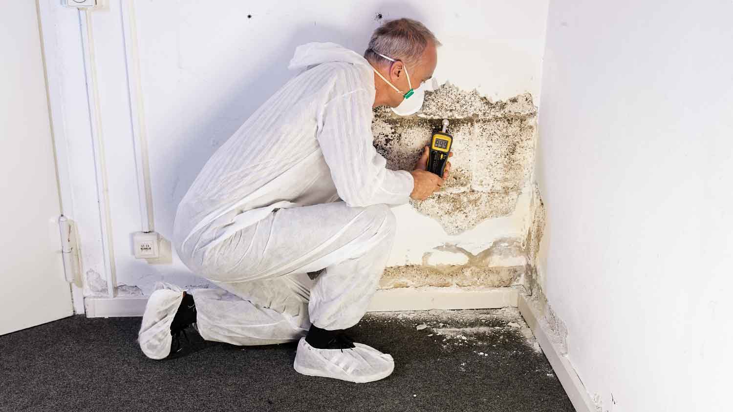 Inspector measuring mold growth in the basement