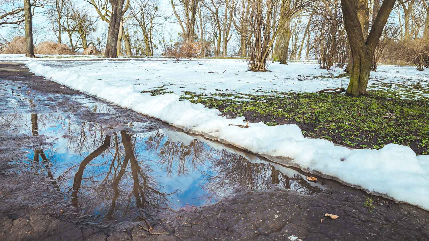 Big melted snow puddle in the yard