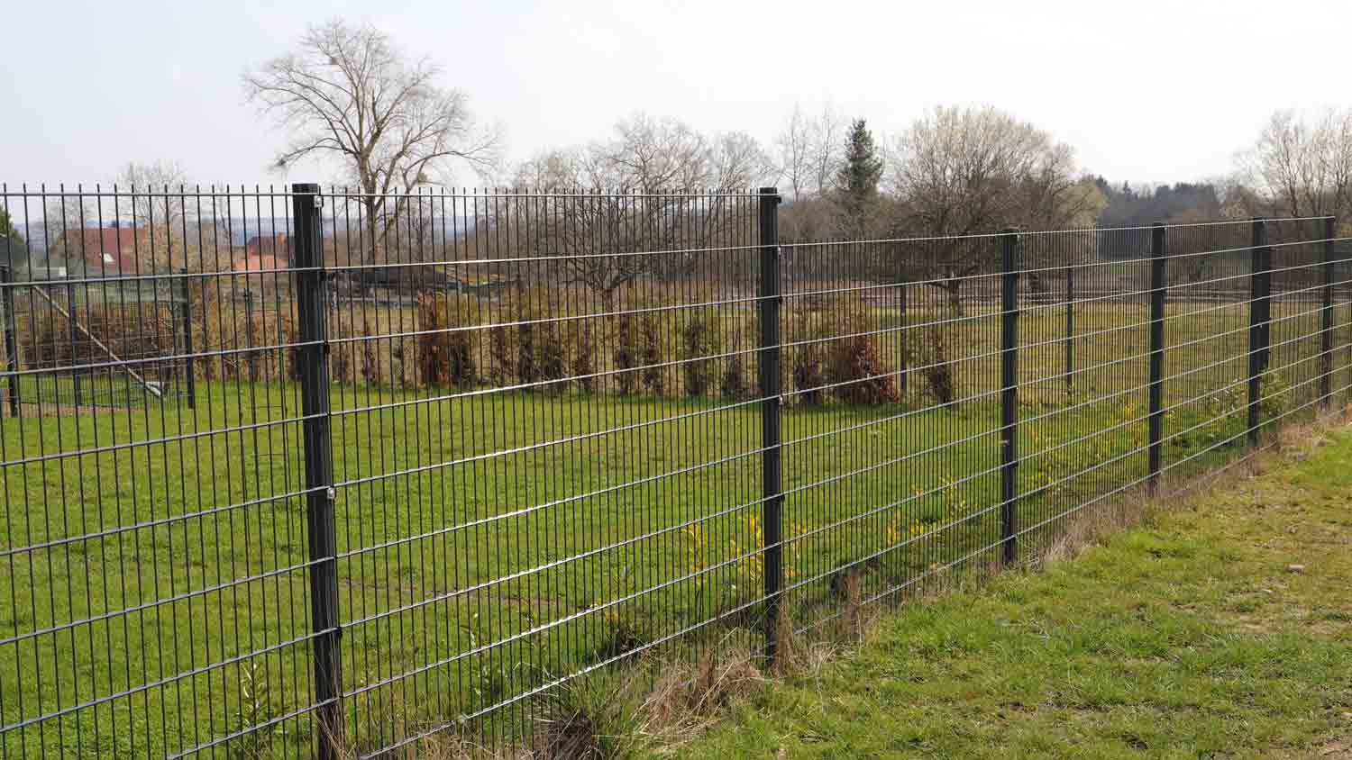 metal mesh fence in yard