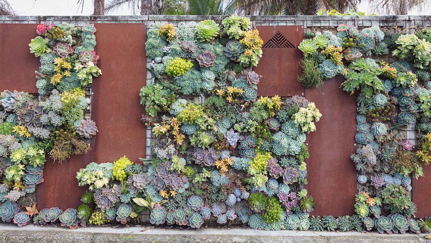 A stone wall with a metal succulent wall climber