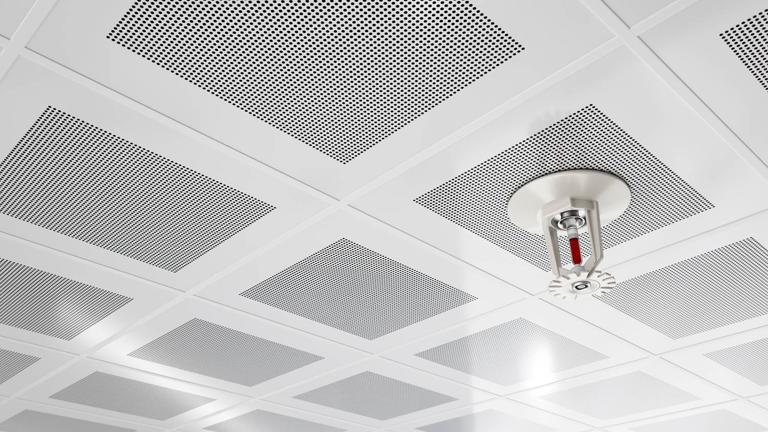 Fire Sprinkler on a White Ceiling With Perforated Tiles