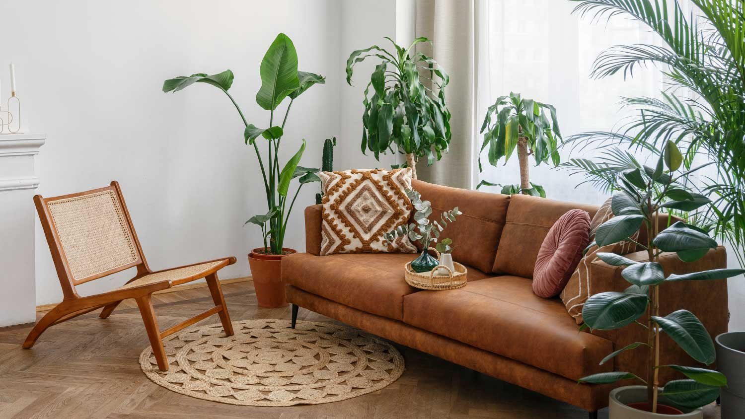 Room with brown sofa, wooden chair, and potted plants