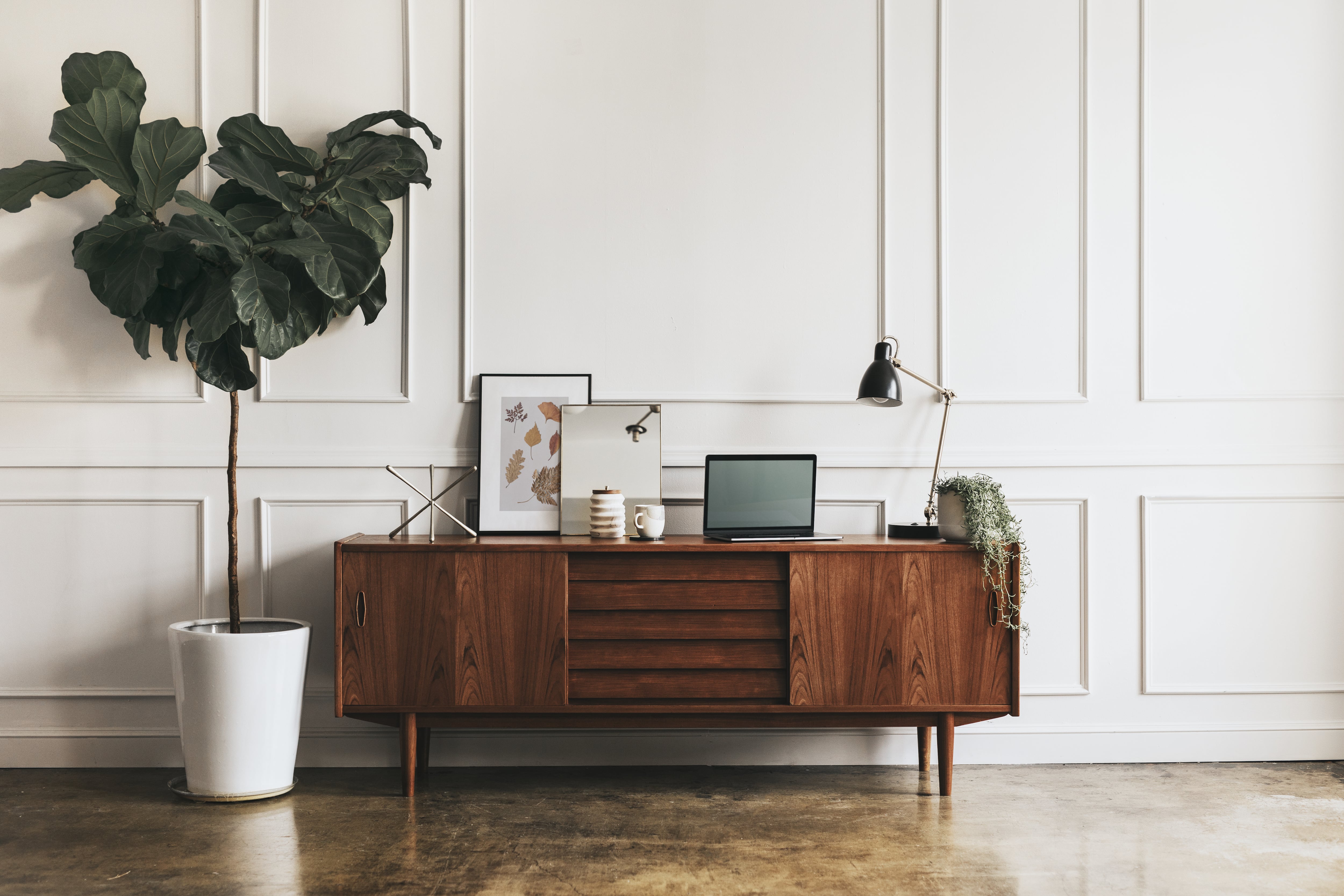 Mid-century modern credenza with photo frames and a fiddle leaf fig tree.