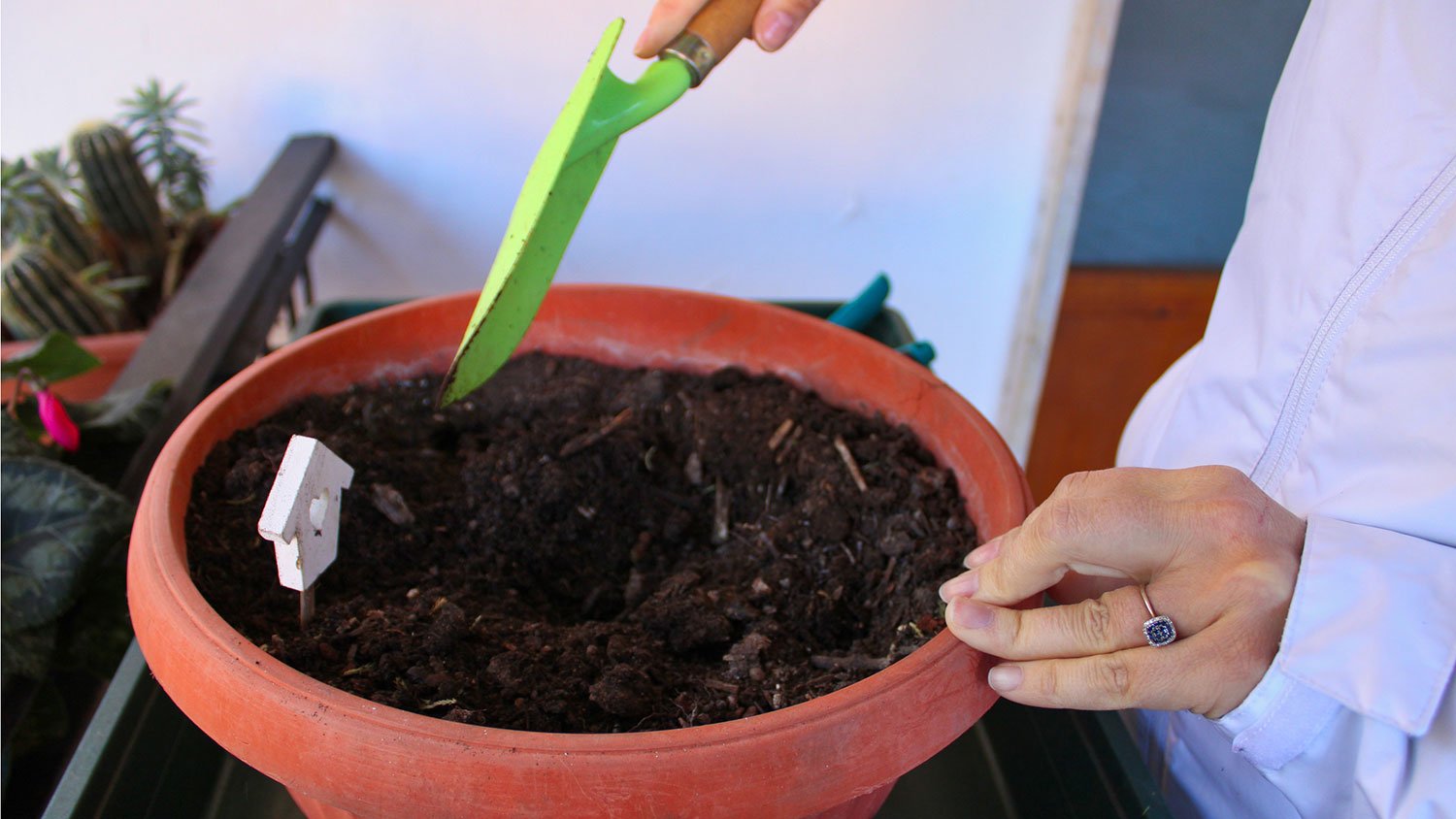 Woman mixing plant soil in a bowl