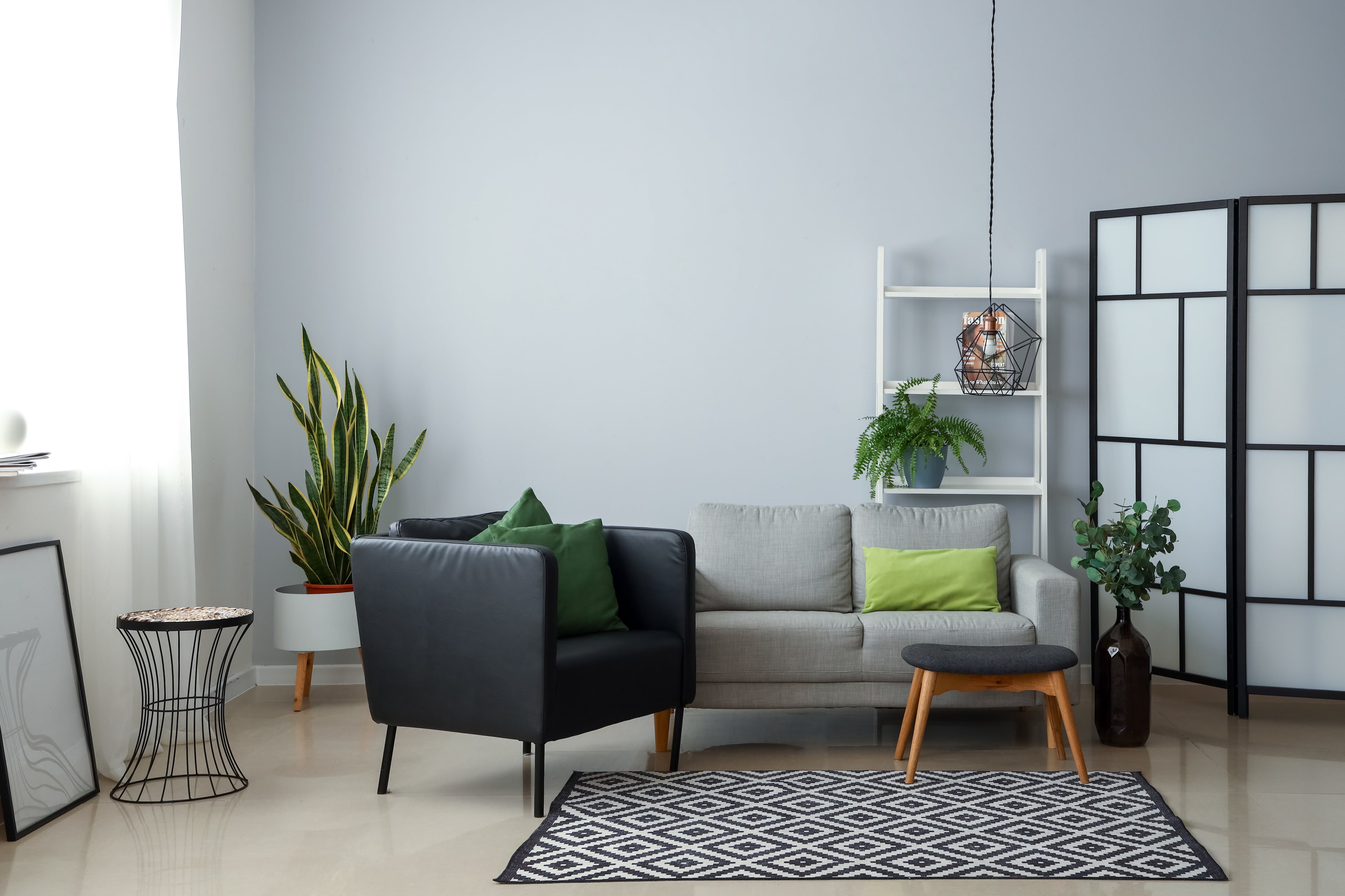 A small apartment living room with plants and black and gray furniture