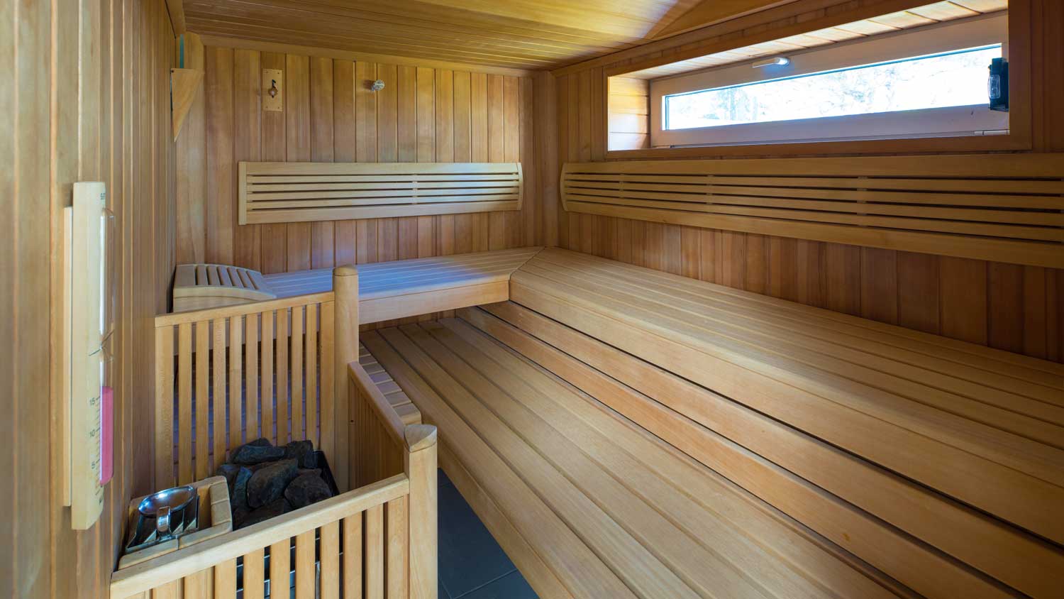 modern sauna in basement