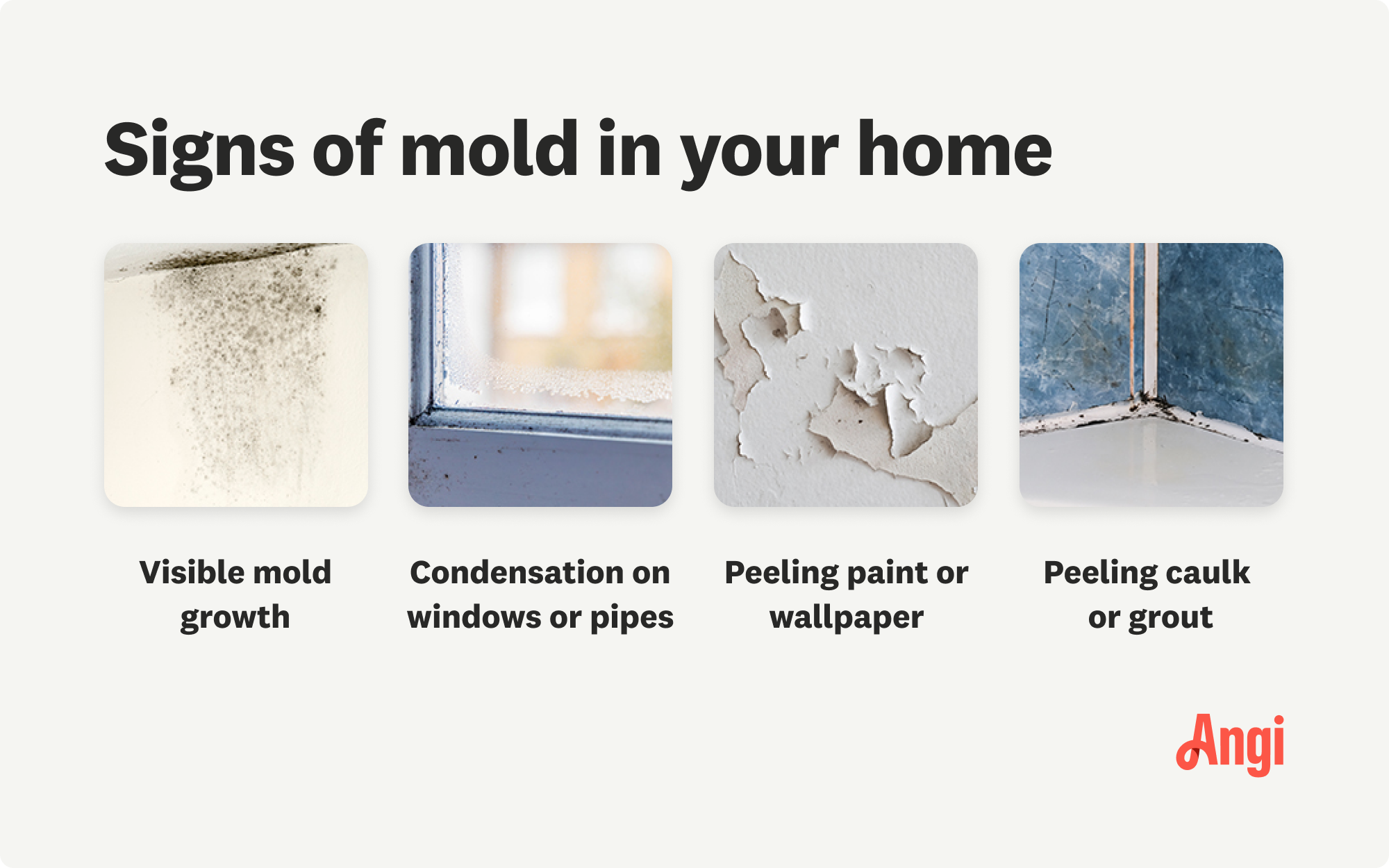 4 signs of mold in your home, including condensation on windows or pipes and peeling paint or wallpaper