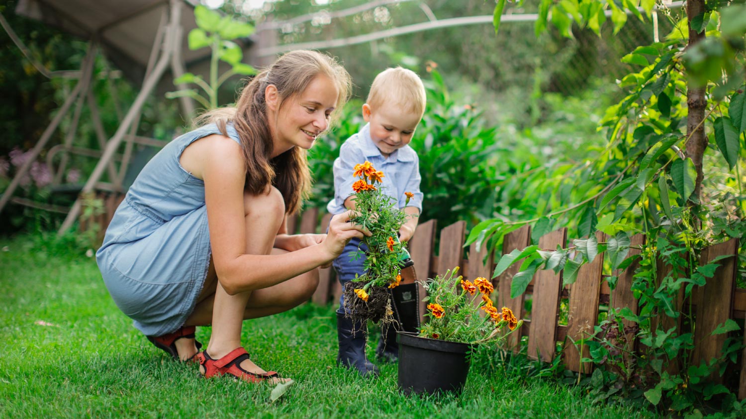 Mom and son transplant flowers in garden