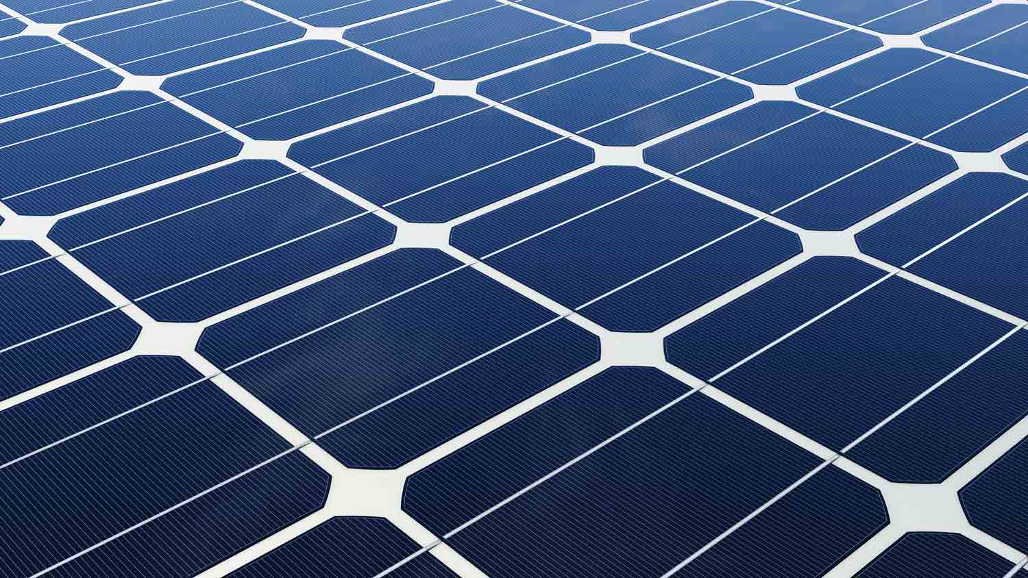 close up of monocrystalline solar panels
