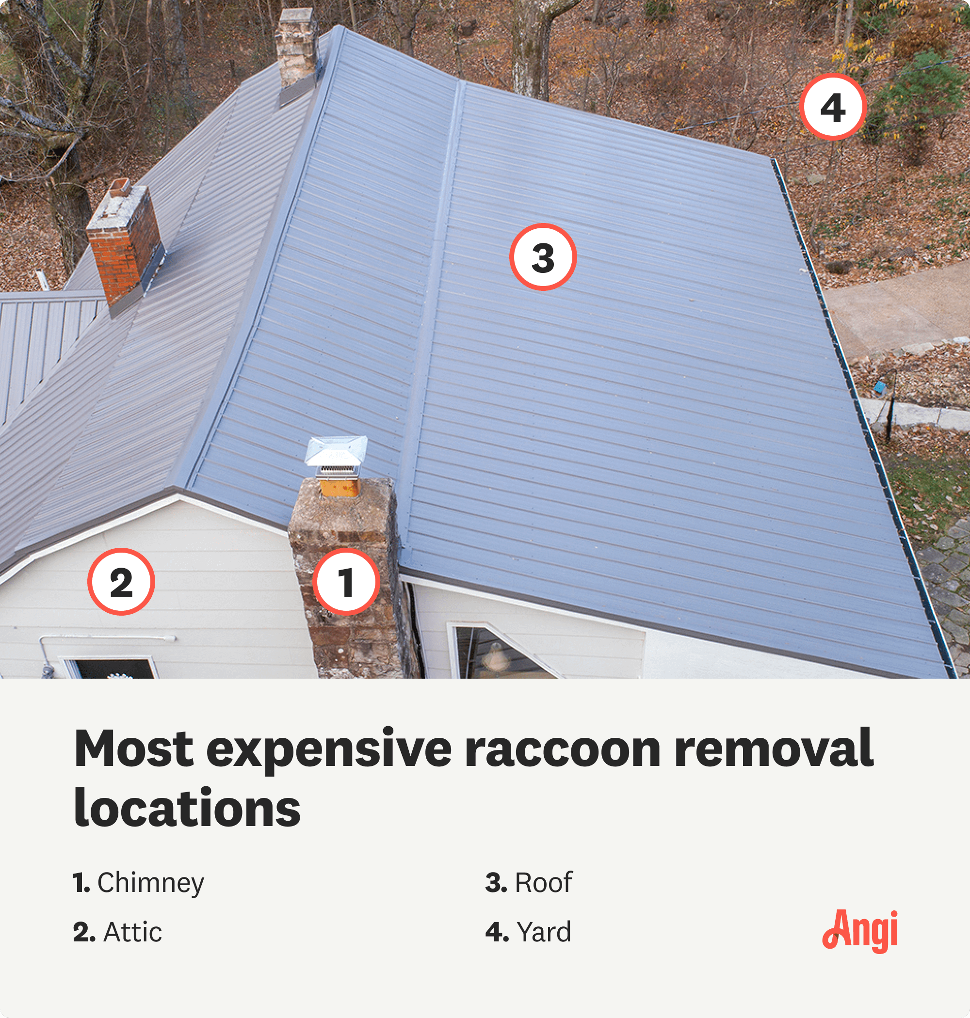 4 most expensive raccoon removal locations, with the chimney ranking the highest at number 1