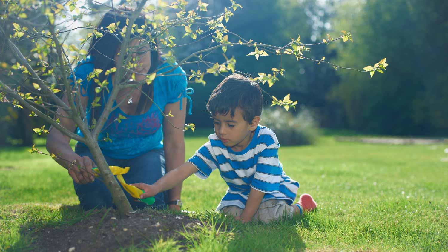 A mother and her son planting a tree