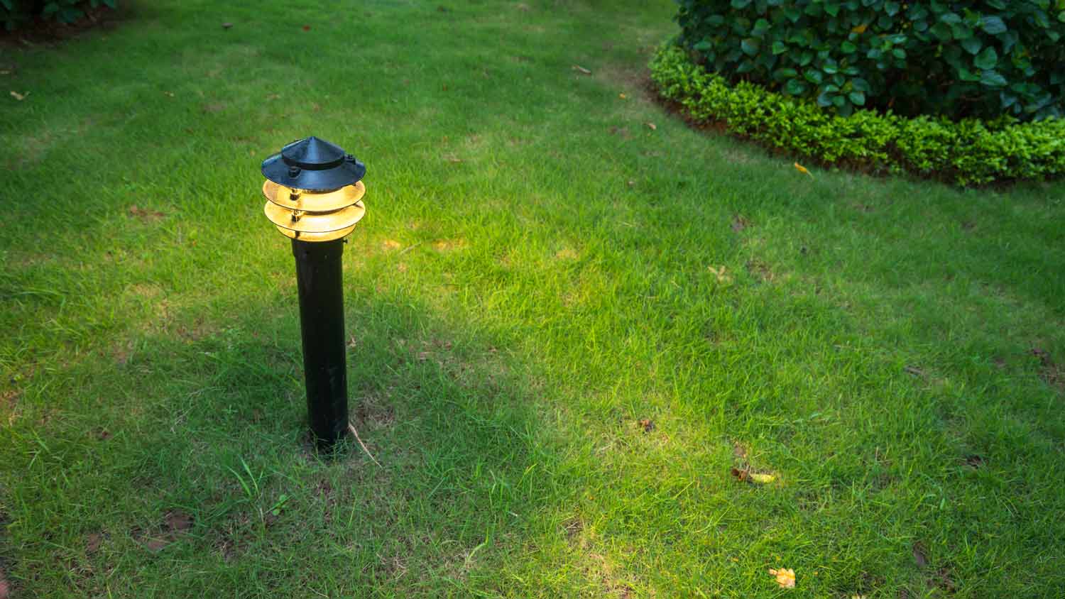 motion sensor lights in yard