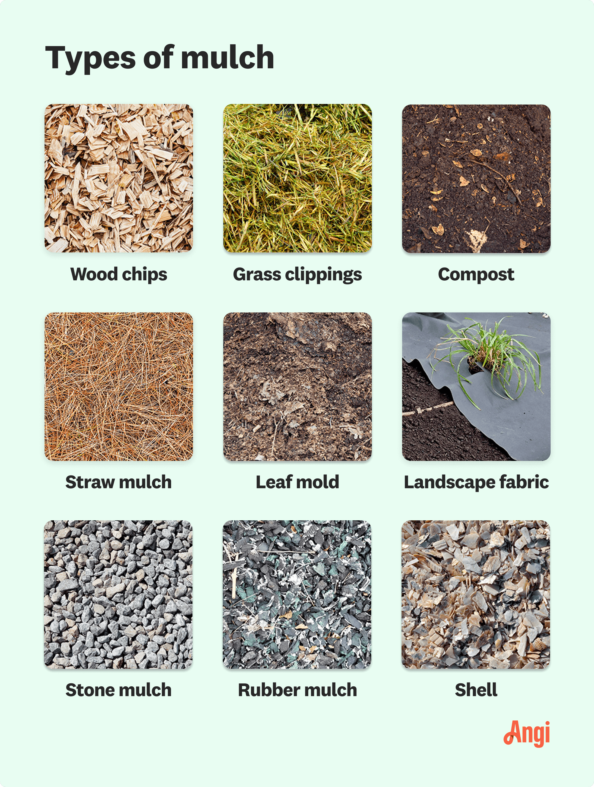 9 mulch types compared visually, including wood chips, leaf mold, and stone mulch