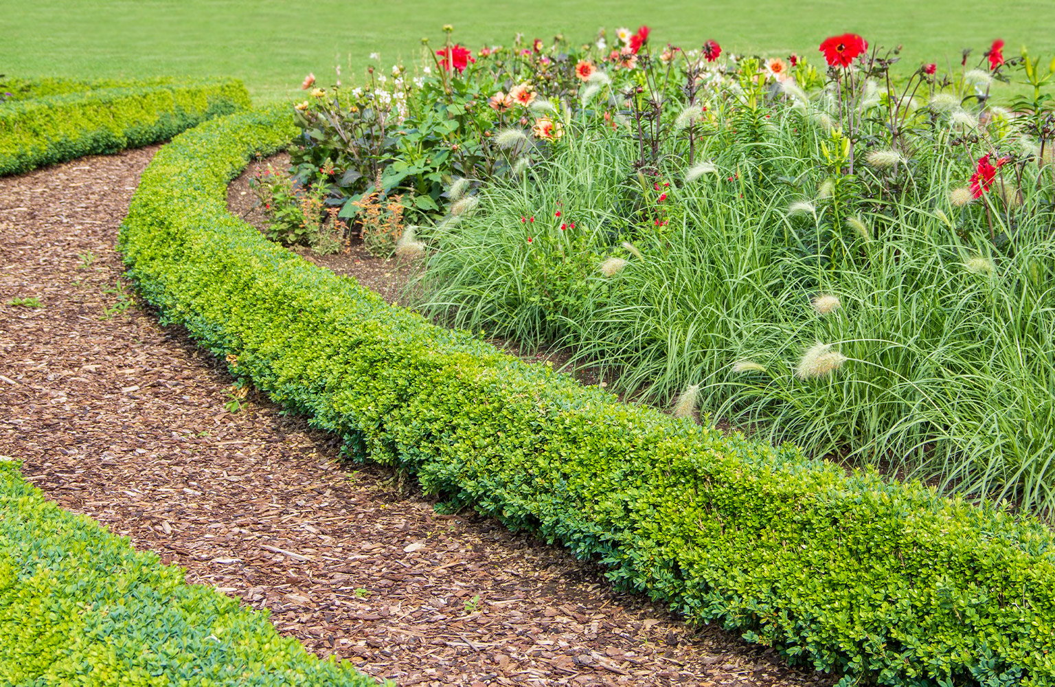 mulch walkway landscaping 