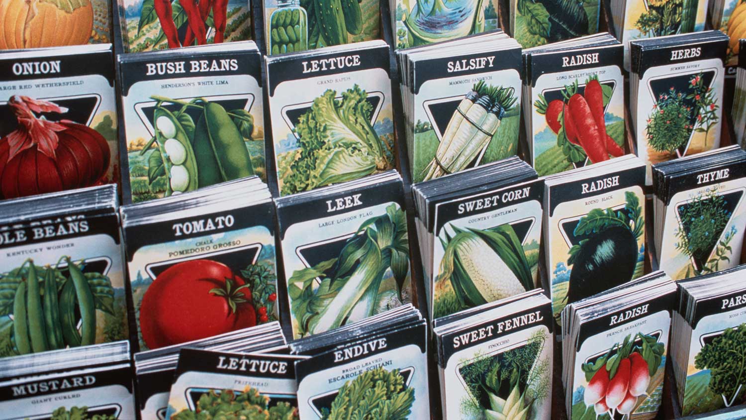 Shelf with a variety of seed packets