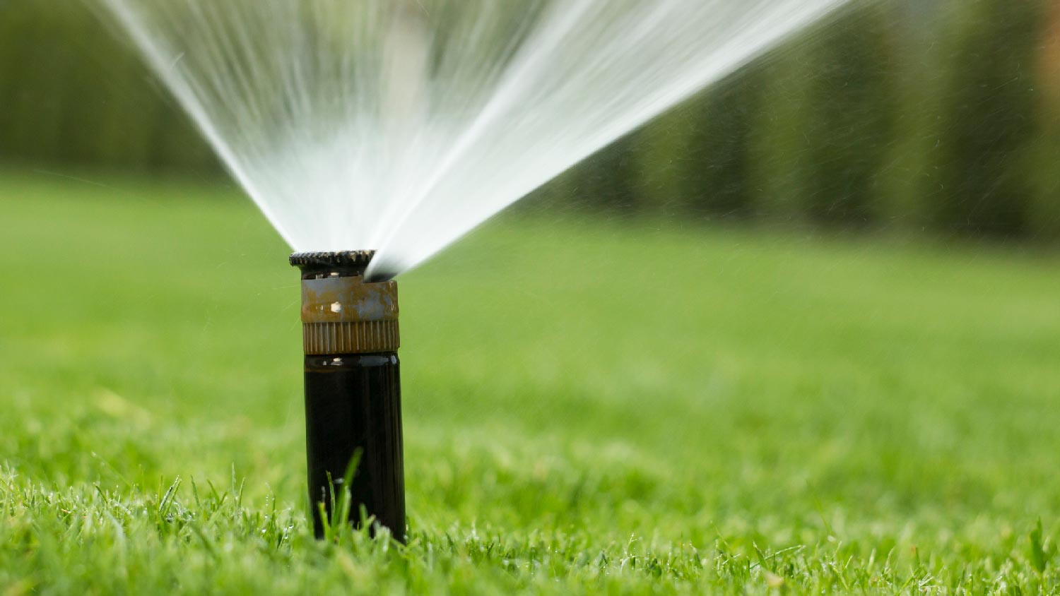 10 Types Of Lawn Sprinkler Systems