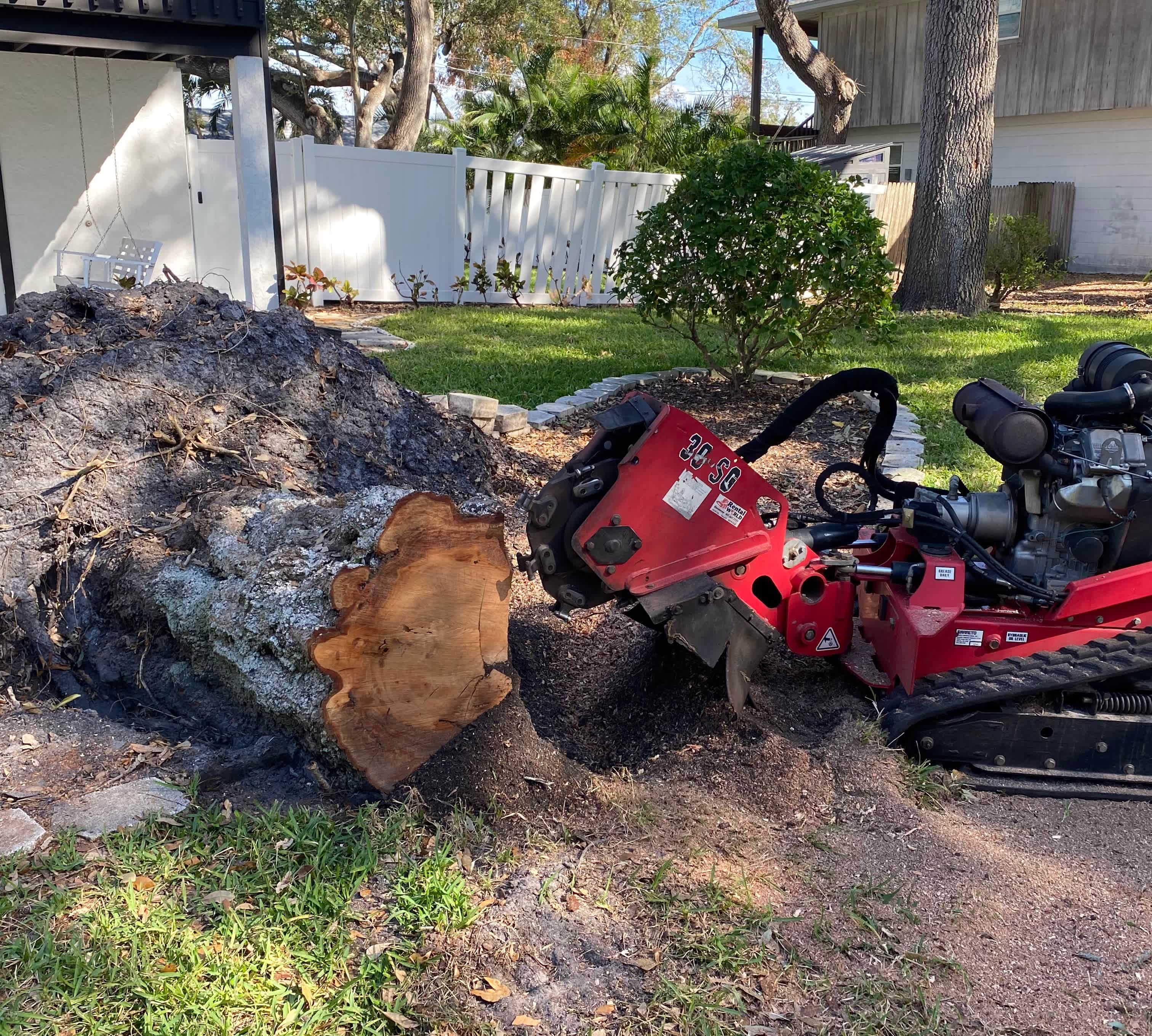 removing a tree stump