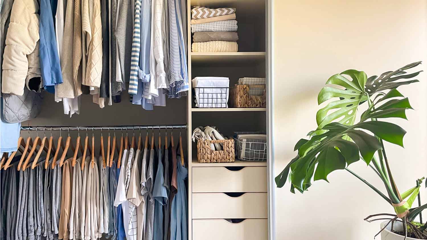 organized closet with shelves and hanging space