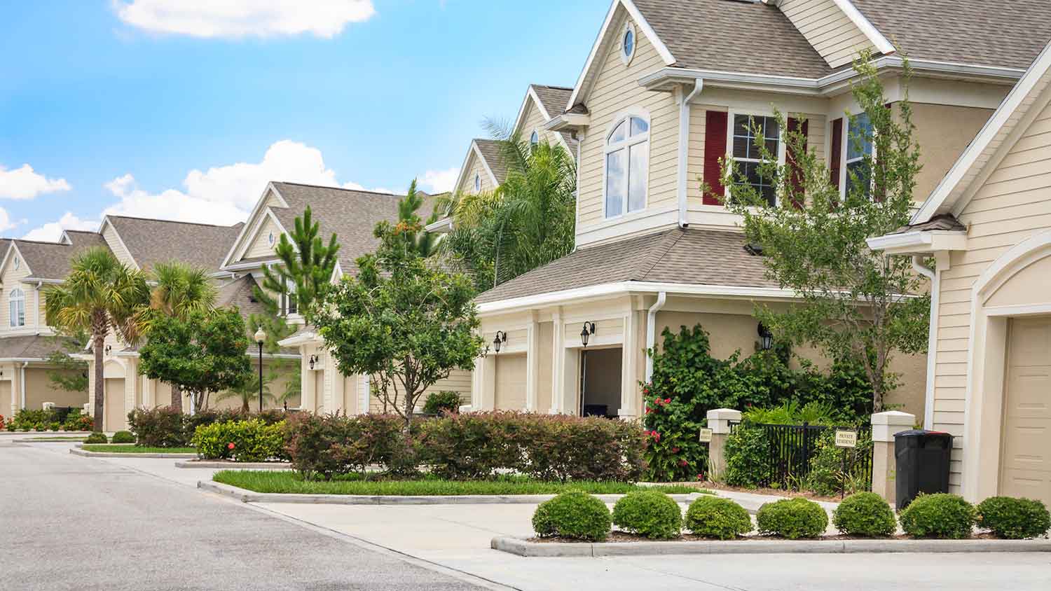 Houses with trees in a suburban neighborhood