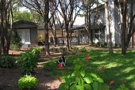 San Antonio Landscaping Experts Offer Advice on Mulch and Topsoil