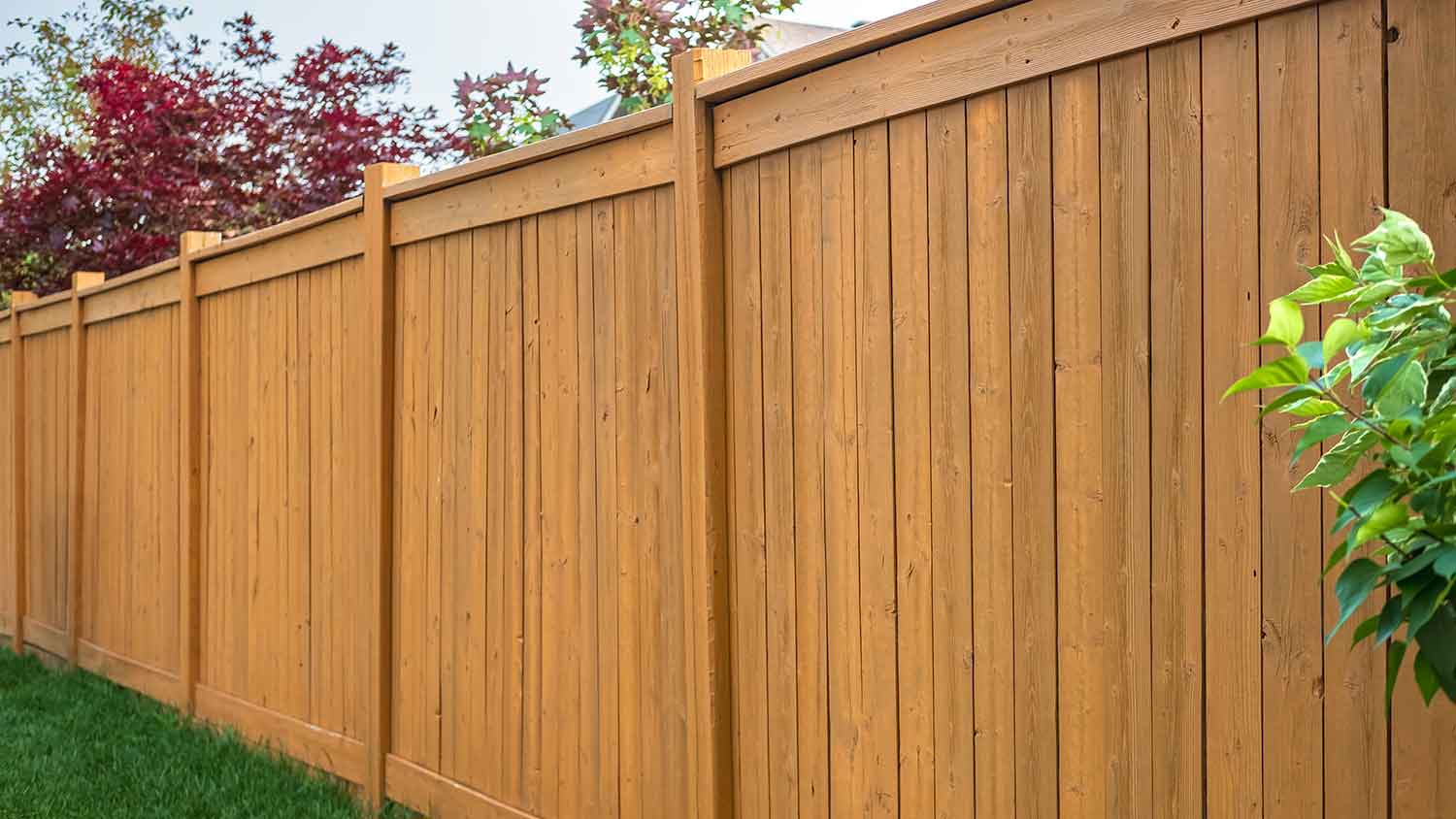 Yard fence made with oak boards