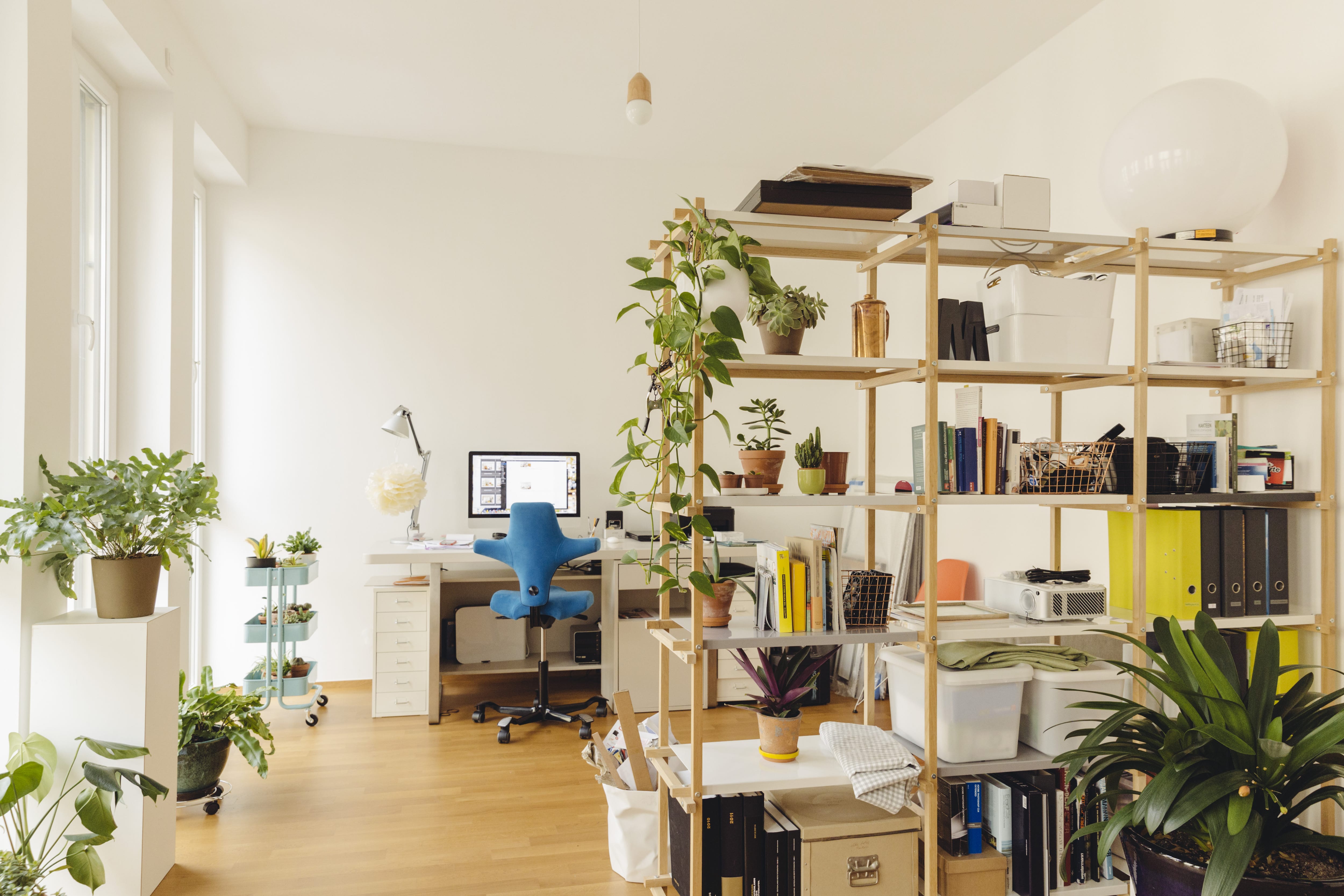 Bright home office with bookshelf, blue chair, and plants 