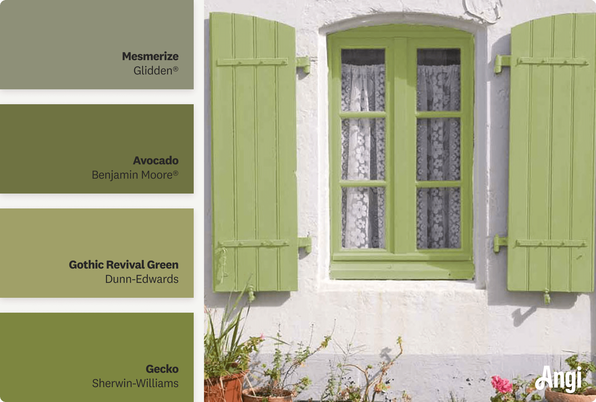 White house with olive green window shutters, including different tones of green paint