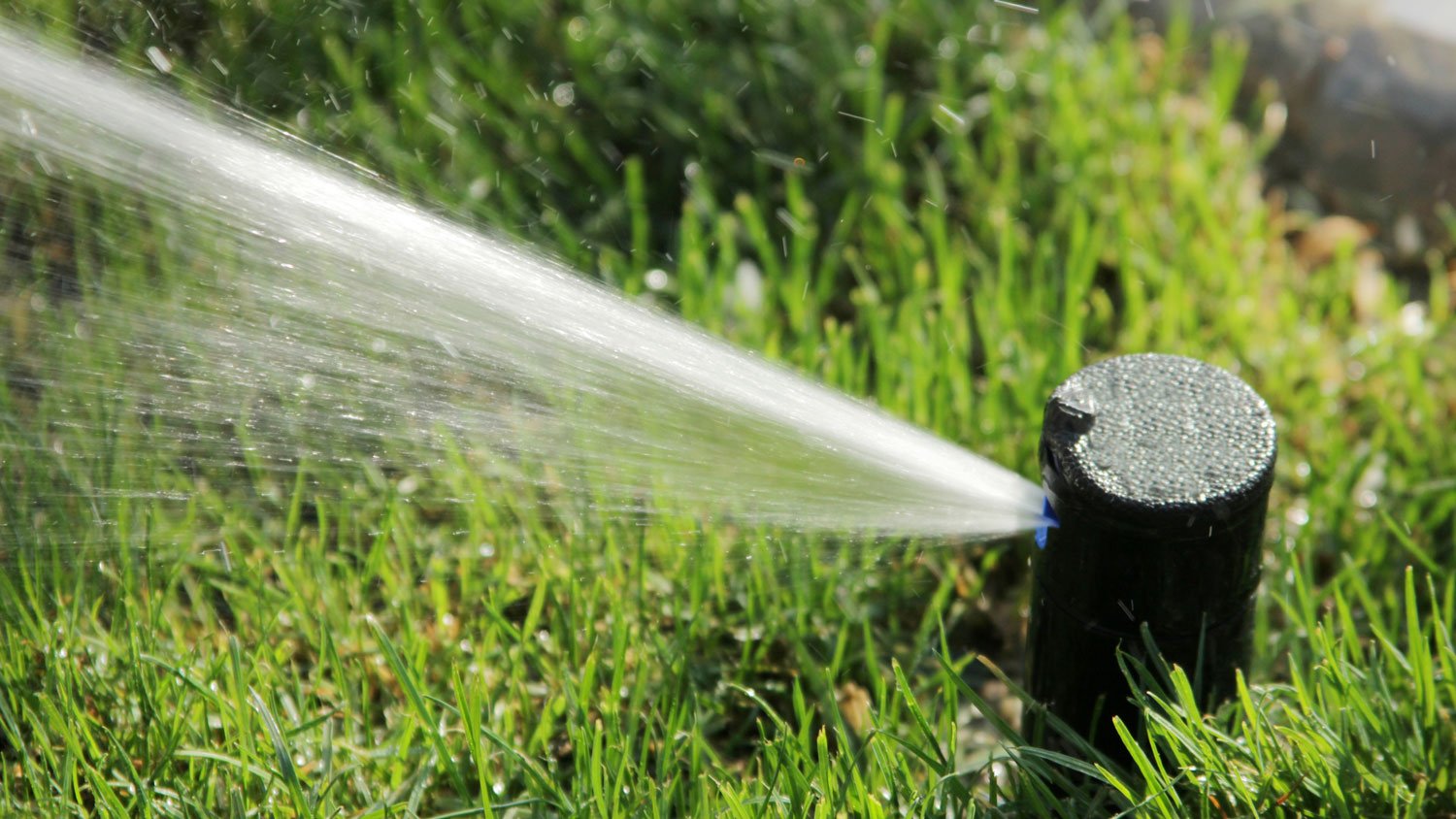 Watering the grass with sprinkler system