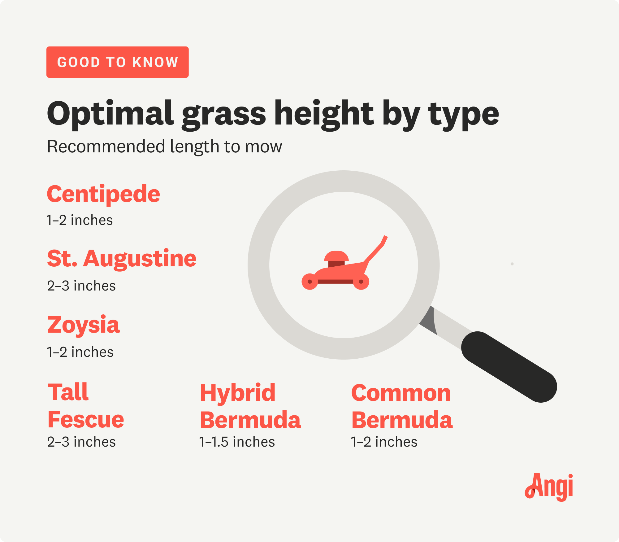 6 grass types compared by optimal height to mow, including Zoysia grass which should be 1 to 2 inches high