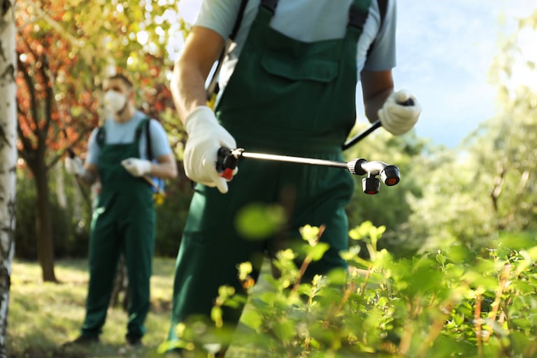 two workers spraying bushes outside for pests