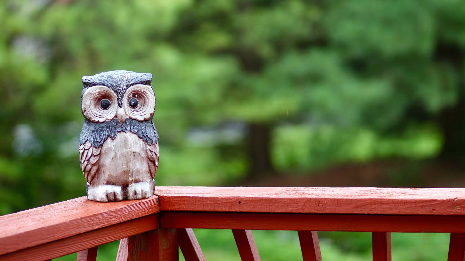 An owl decoy on a house’s porch