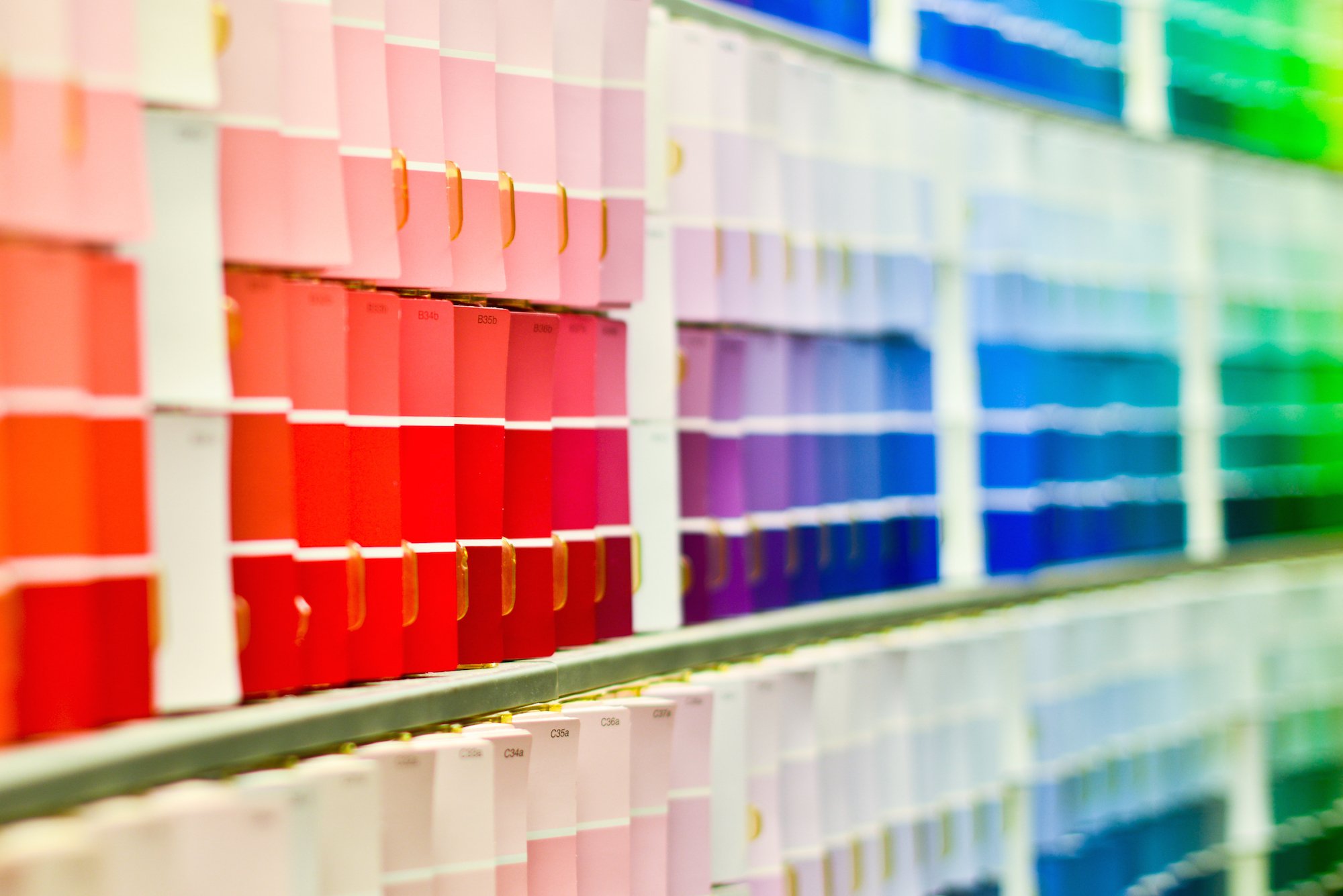 Save Money with These DIY Painting Tips