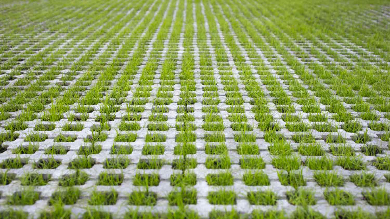 Eco paver tiles in yard