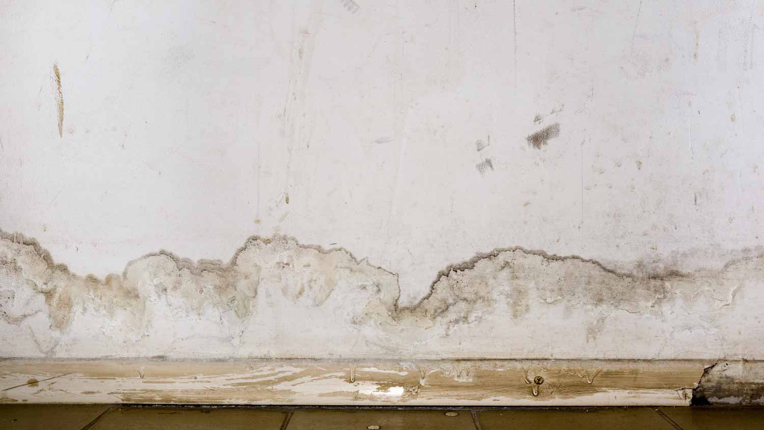 Peeling paint and mildew