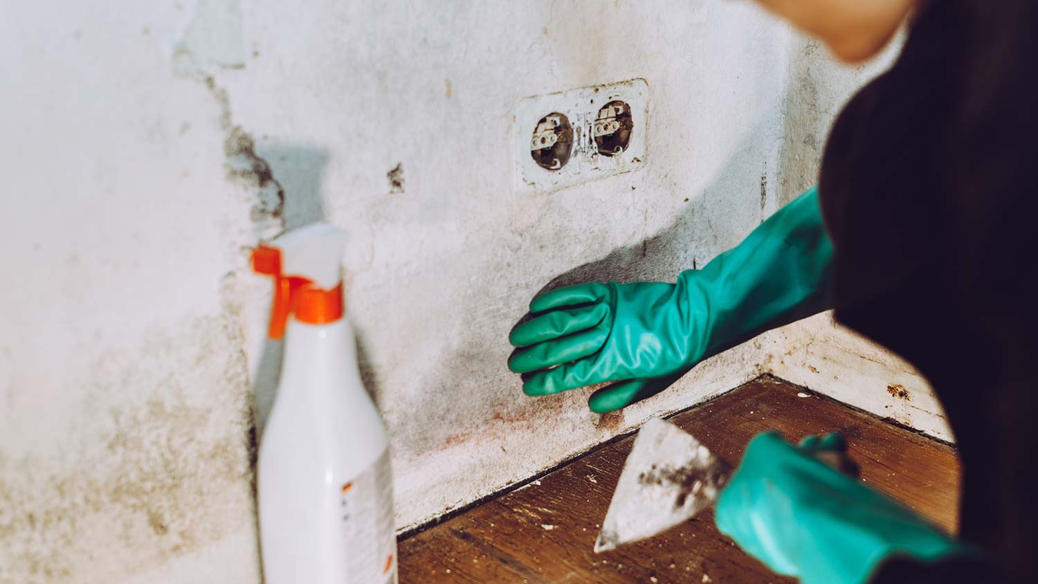 A person cleaning mold from wall 
