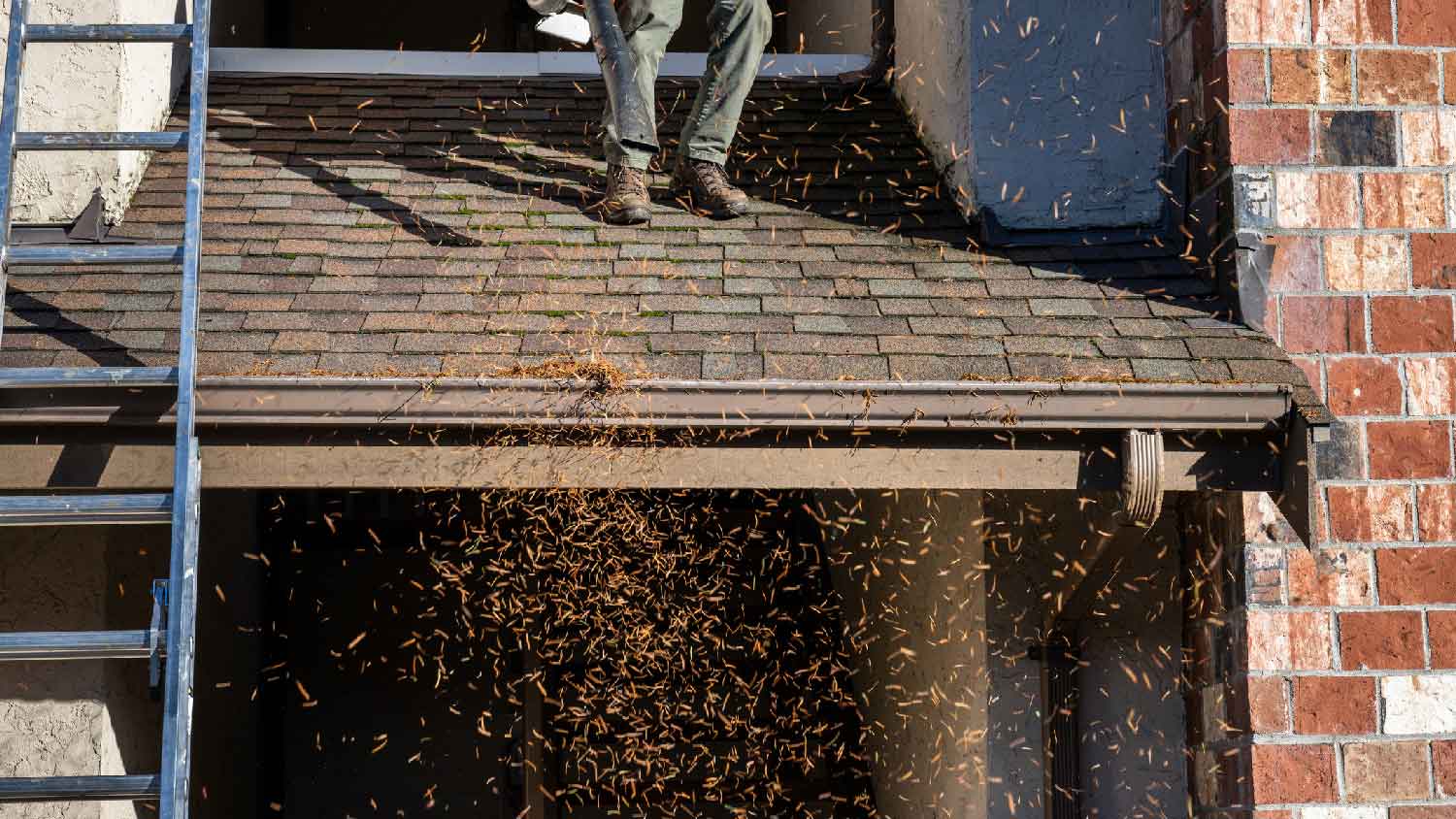 A person cleaning a roof from pine needles