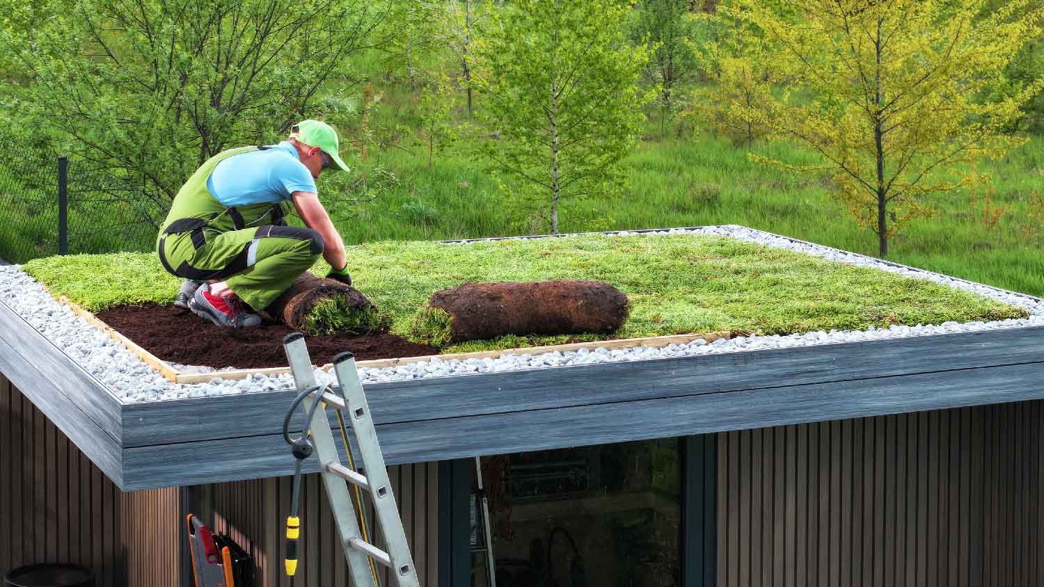 A person laying turf on a green roof