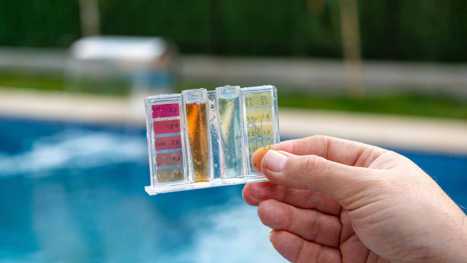 Getting Rid of Black Algae