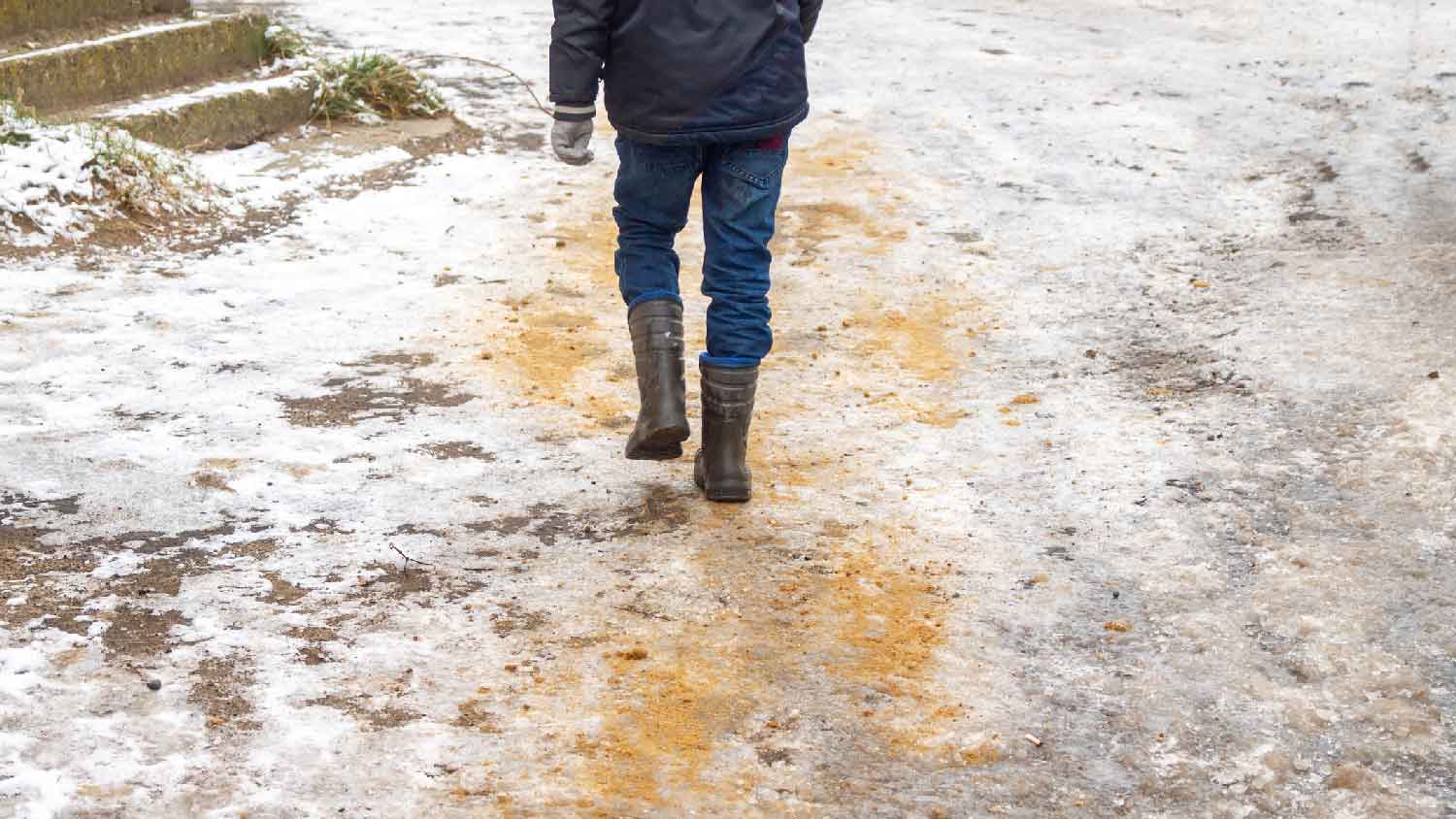 A person throwing sand to melt the snow